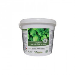 VG GARDEN ENGRAIS ANTI CHLOROSE 30G