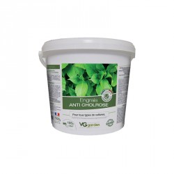 VG GARDEN ENGRAIS ANTI CHLOROSE 100G