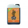 Pachamama Bloom en 10 Litres - Engrais de floraison organique UAB